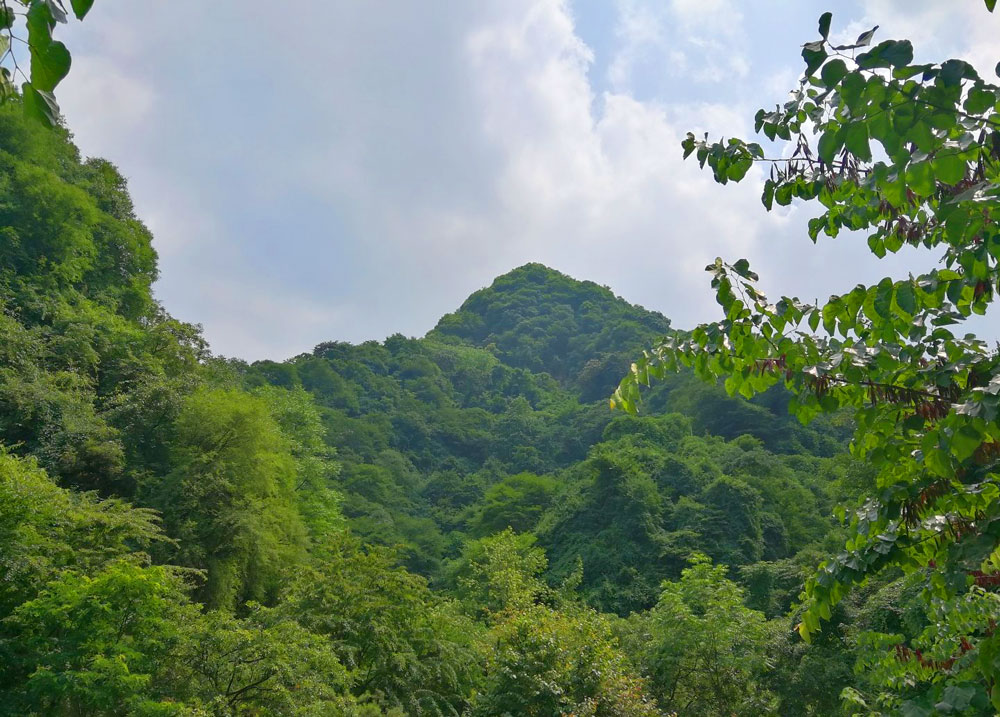 陇县蝉耳山